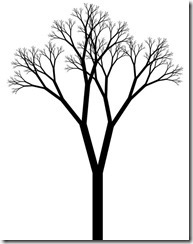 tall-tree